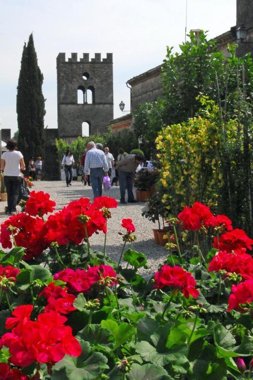 Апартаменти Antica Dimora Dell'Ortolano Castellaro  Екстер'єр фото